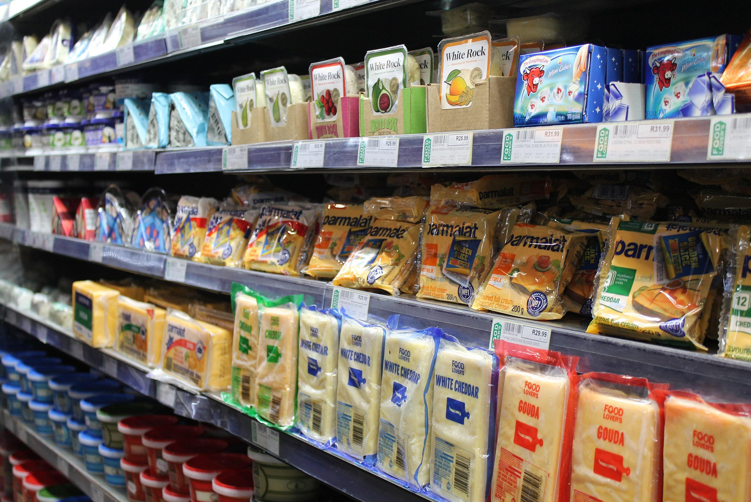 Project plan on landscaping, selection and shortlisting potential dairy farmers, co-ops and unions to increase milk supply