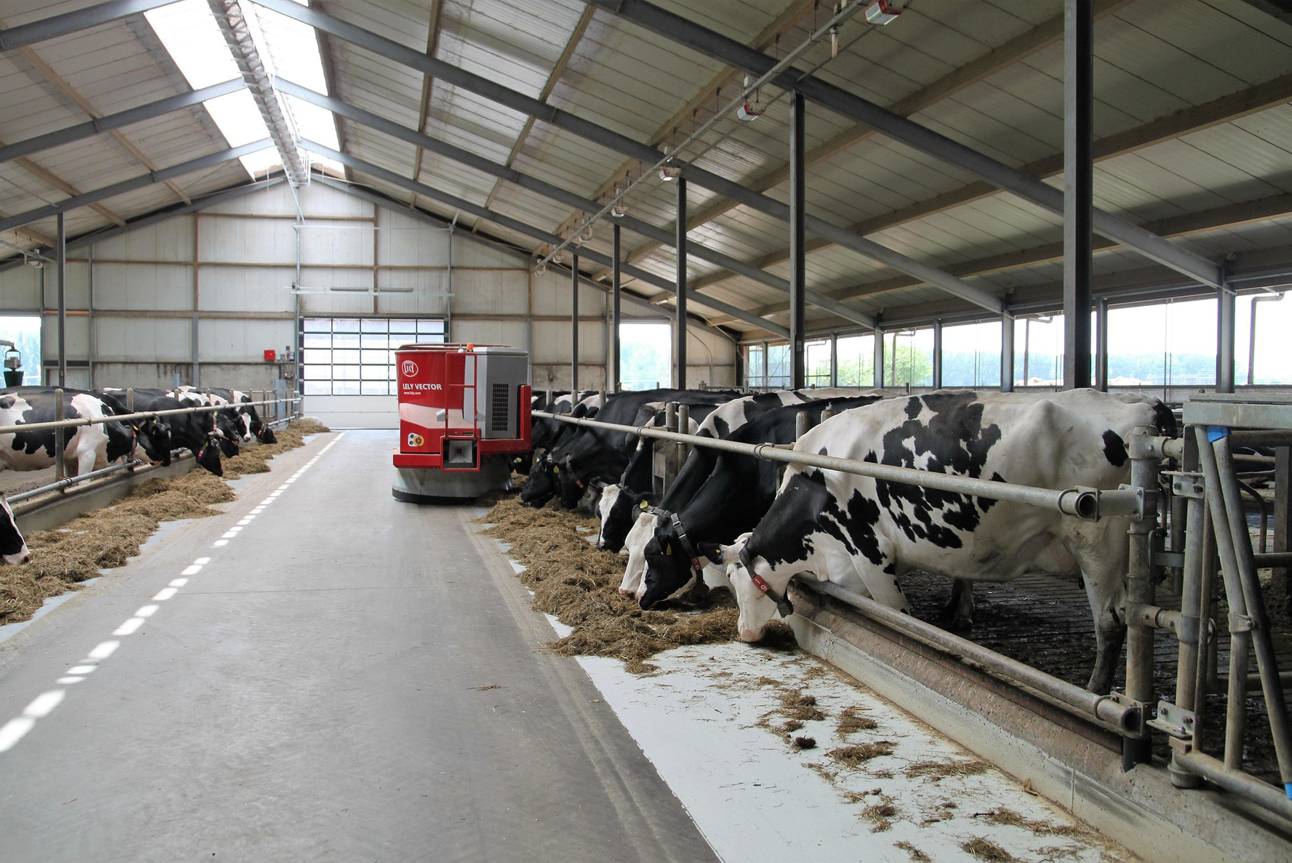 Kenya Market-Led Dairy Program (KMDP): Dairy Value Chain Development and Business Development Advisory Services